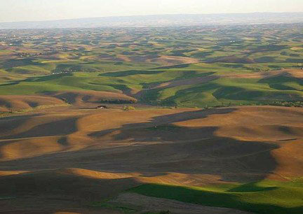 Kamiak Butte Image